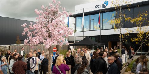 Familie dag organiseren bedrijf