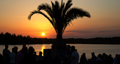 Jubileumweekend organiseren