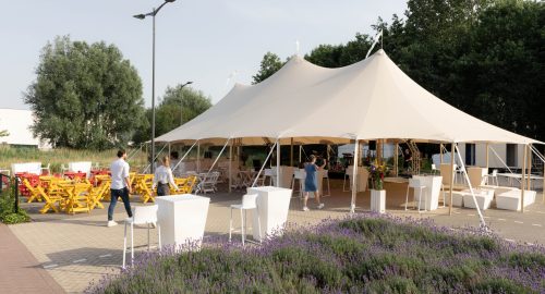 Familie dag organiseren bedrijf